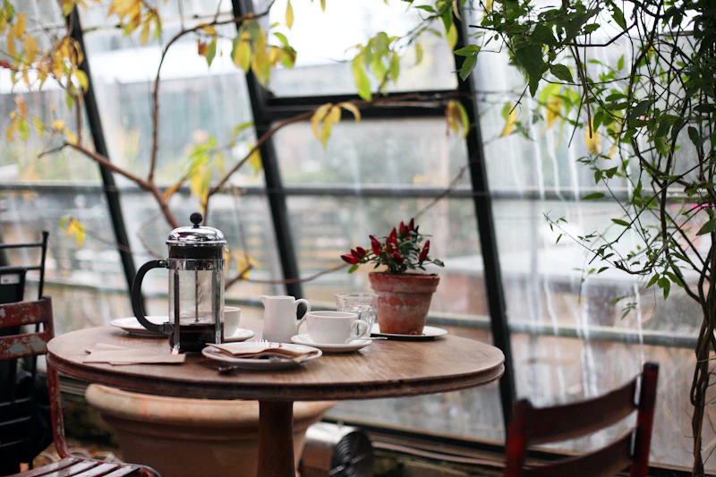 A sunlit greenhouse corner with a French press for two